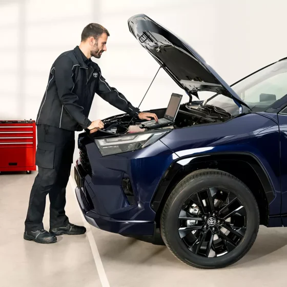 TOY_RELAX_2024_HUB_VLV_IMG_SERVICE_20-1